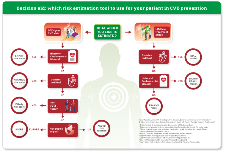 Esc Prevention Of Cvd Programme Risk Assessment